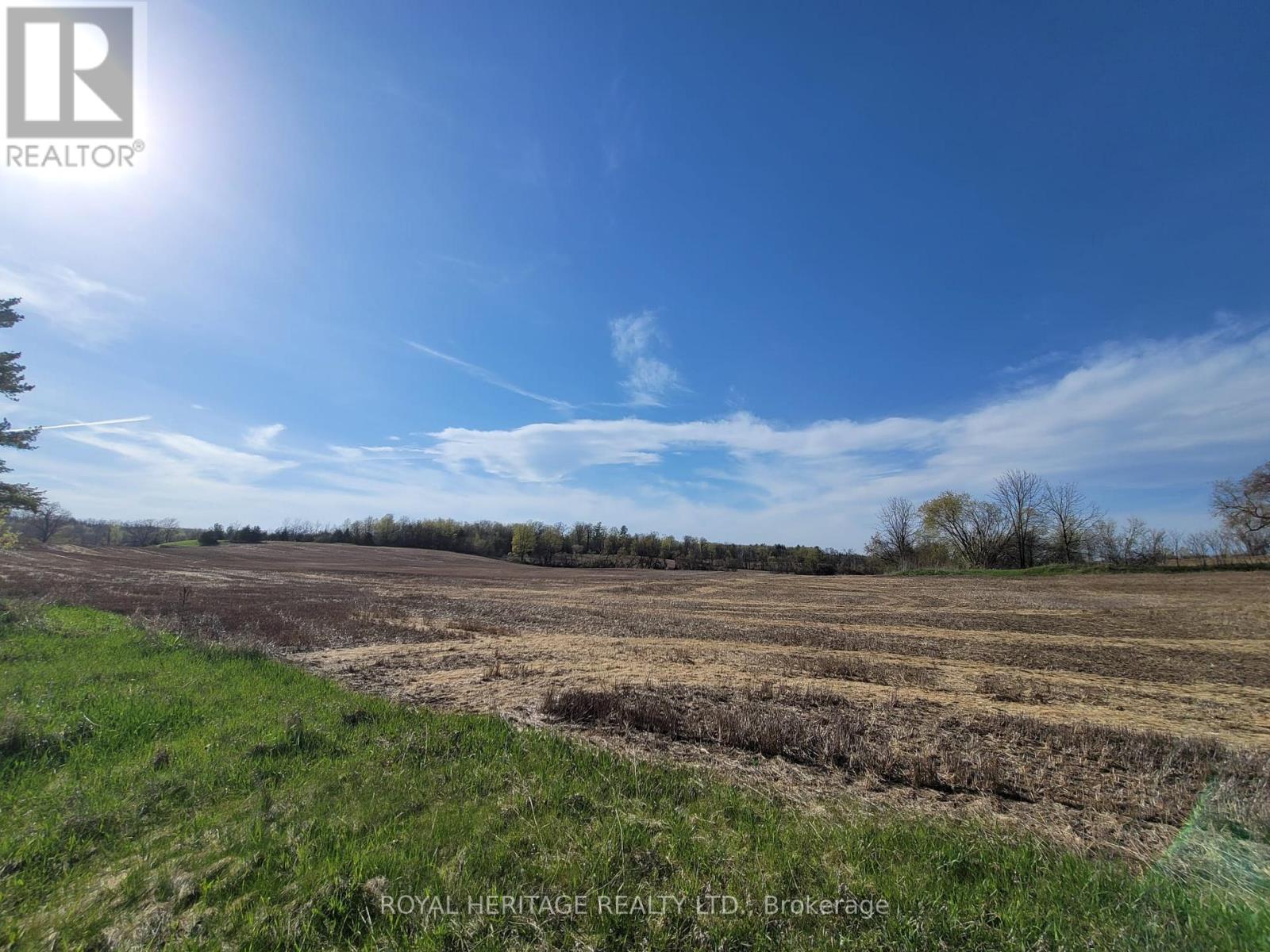 298 6th Line W, Trent Hills, Ontario  K0L 1Y0 - Photo 4 - X13081834