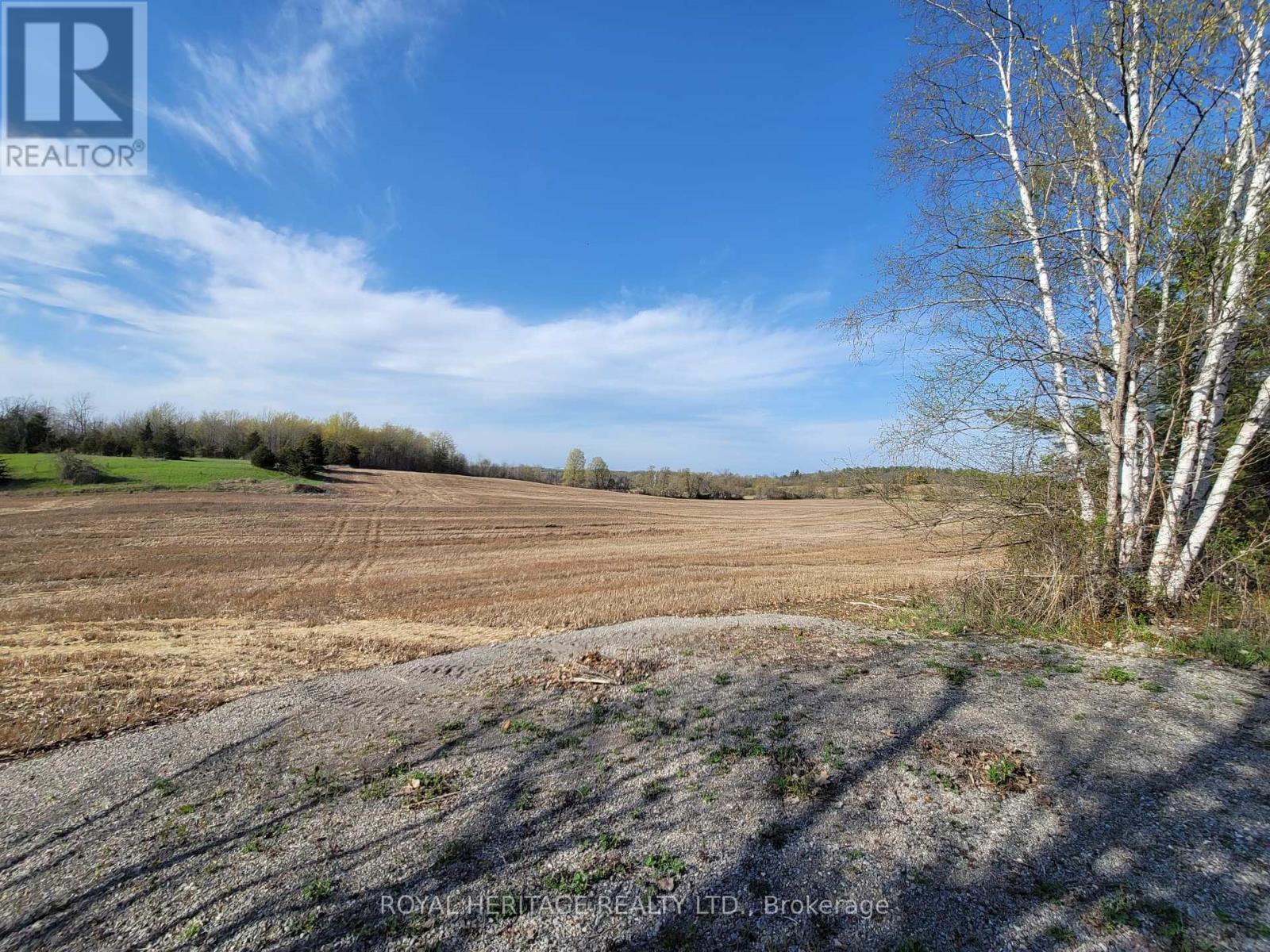 298 6th Line W, Trent Hills, Ontario  K0L 1Y0 - Photo 5 - X13081834