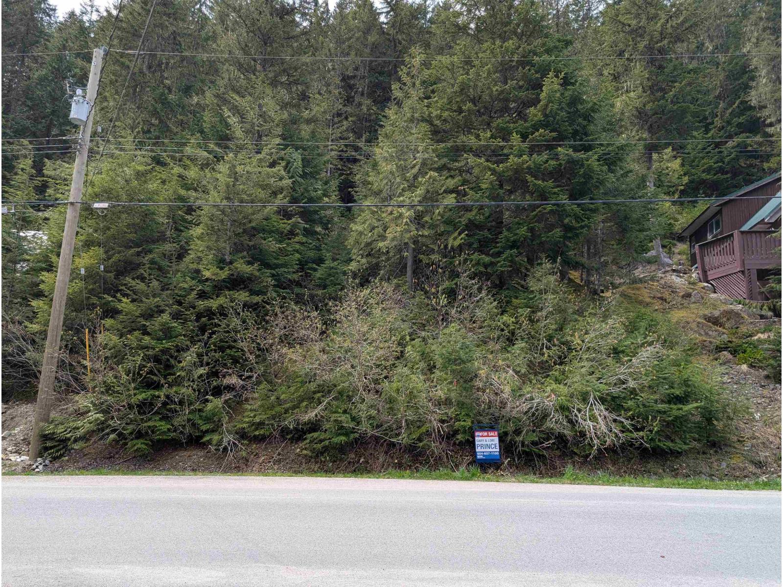 14891 Parkview Avenue, Hope, Sunshine Valley, British Columbia  V0X 1L5 - Photo 4 - R3114217