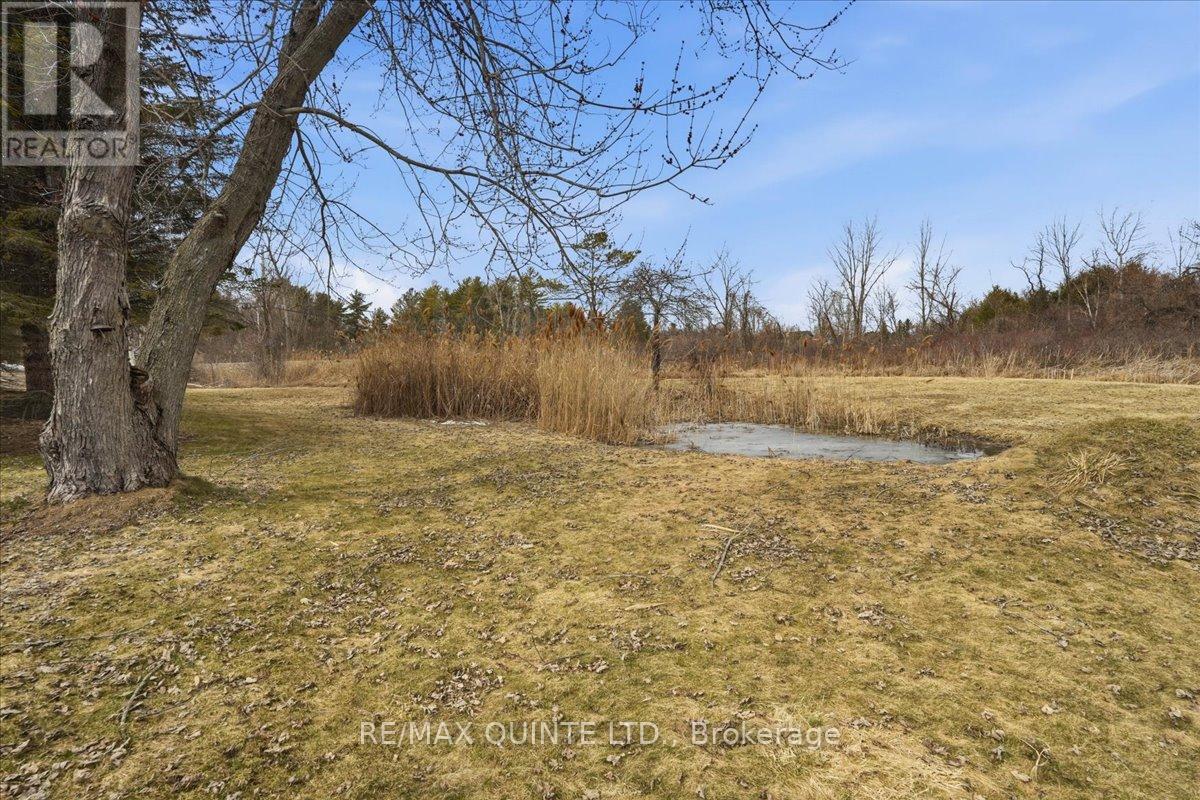 1325 County Rd 40, Quinte West, Ontario  K8V 5P4 - Photo 9 - X12990612