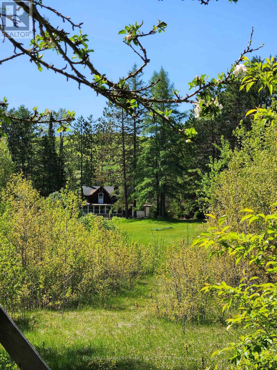 1274 Holland Lake Road, Bancroft, Ontario  K0L 1C0 - Photo 23 - X13081508