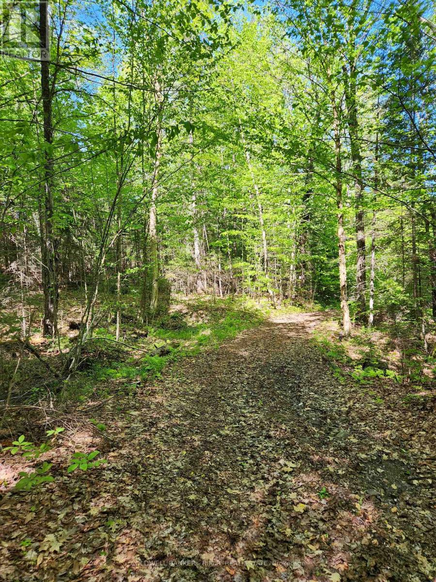 1274 Holland Lake Road, Bancroft, Ontario  K0L 1C0 - Photo 24 - X13081508