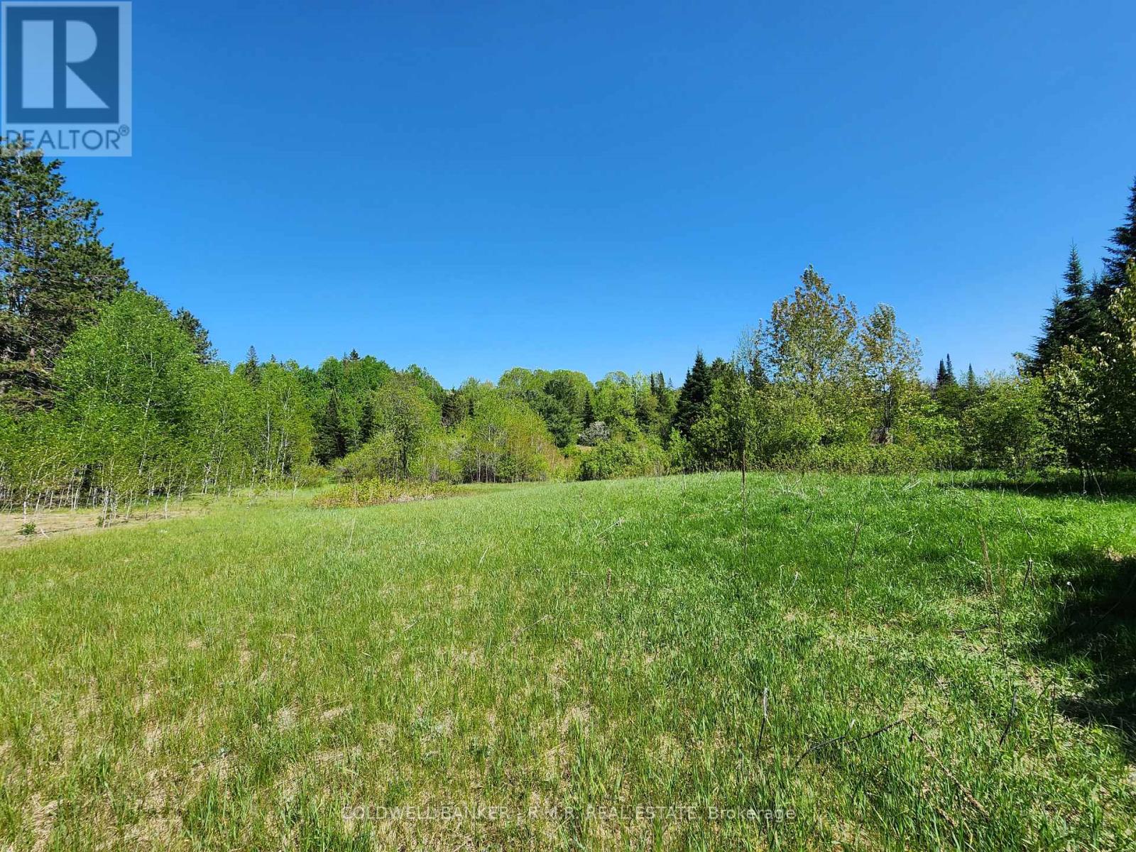 1274 Holland Lake Road, Bancroft, Ontario  K0L 1C0 - Photo 21 - X13081508
