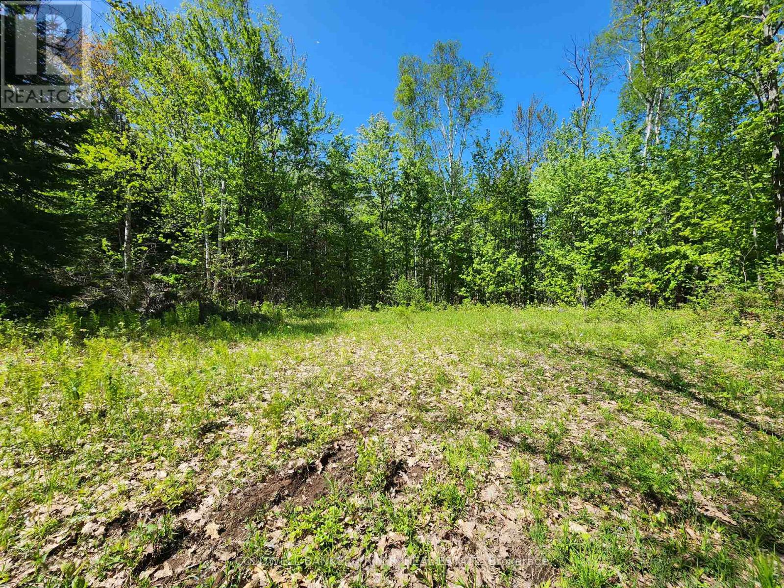 1274 Holland Lake Road, Bancroft, Ontario  K0L 1C0 - Photo 26 - X13081508
