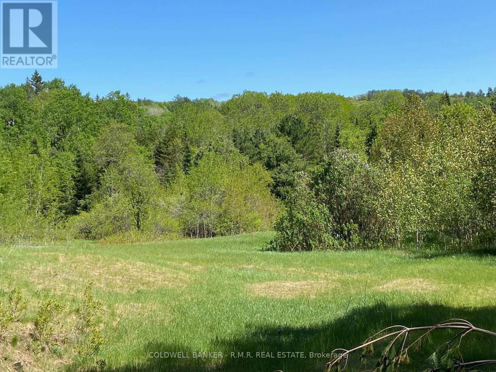 1274 Holland Lake Road, Bancroft, Ontario  K0L 1C0 - Photo 3 - X13081508
