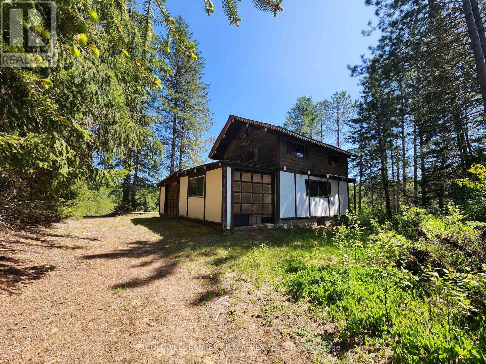1274 Holland Lake Road, Bancroft, Ontario  K0L 1C0 - Photo 4 - X13081508