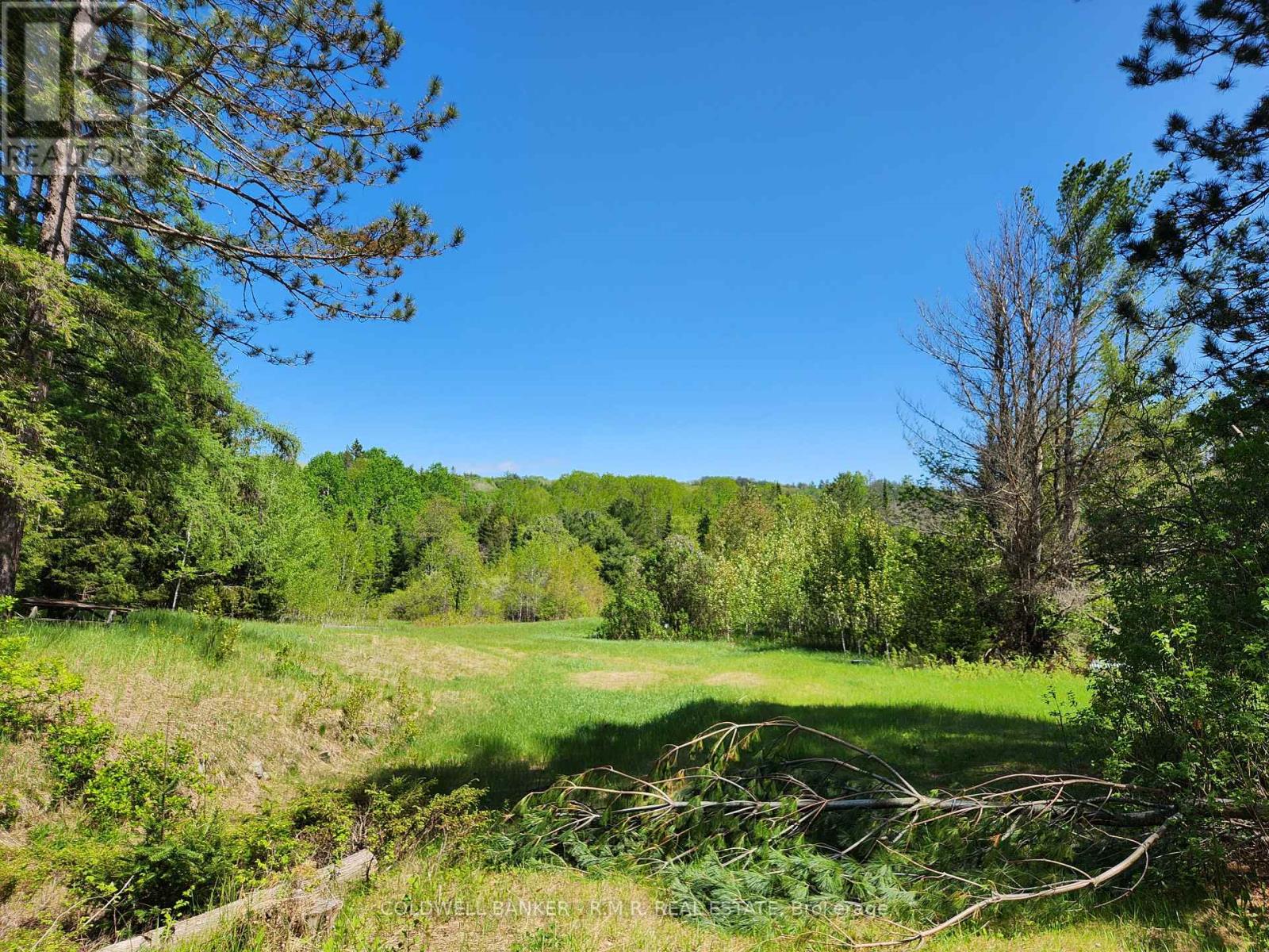 1274 Holland Lake Road, Bancroft, Ontario  K0L 1C0 - Photo 28 - X13081508
