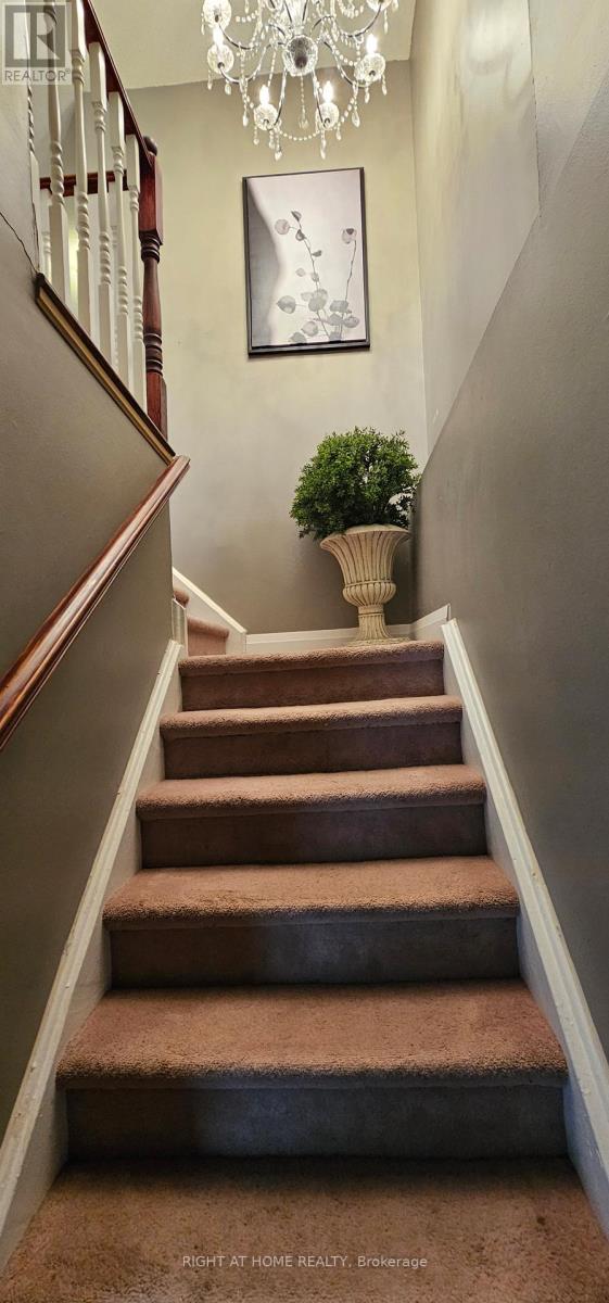 72 - 3525 Brandon Gate Drive, Mississauga, Ontario  L4T 3M3 - Photo 7 - W13082008
