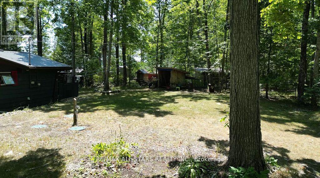 686 Grand Island, Kawartha Lakes, Ontario  K0M 1N0 - Photo 25 - X13042482