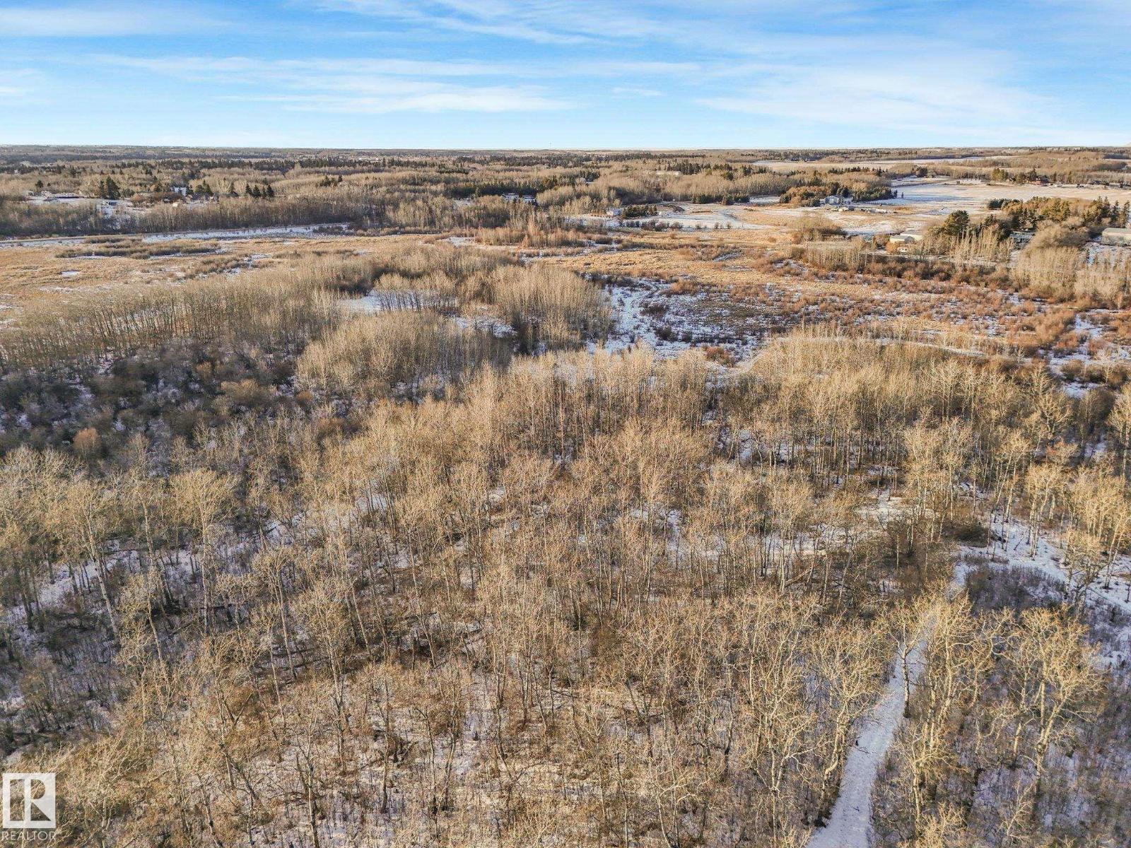 #42 473051 Rge Road 242, Rural Wetaskiwin County, Alberta  T0C 1Z0 - Photo 11 - E4478334