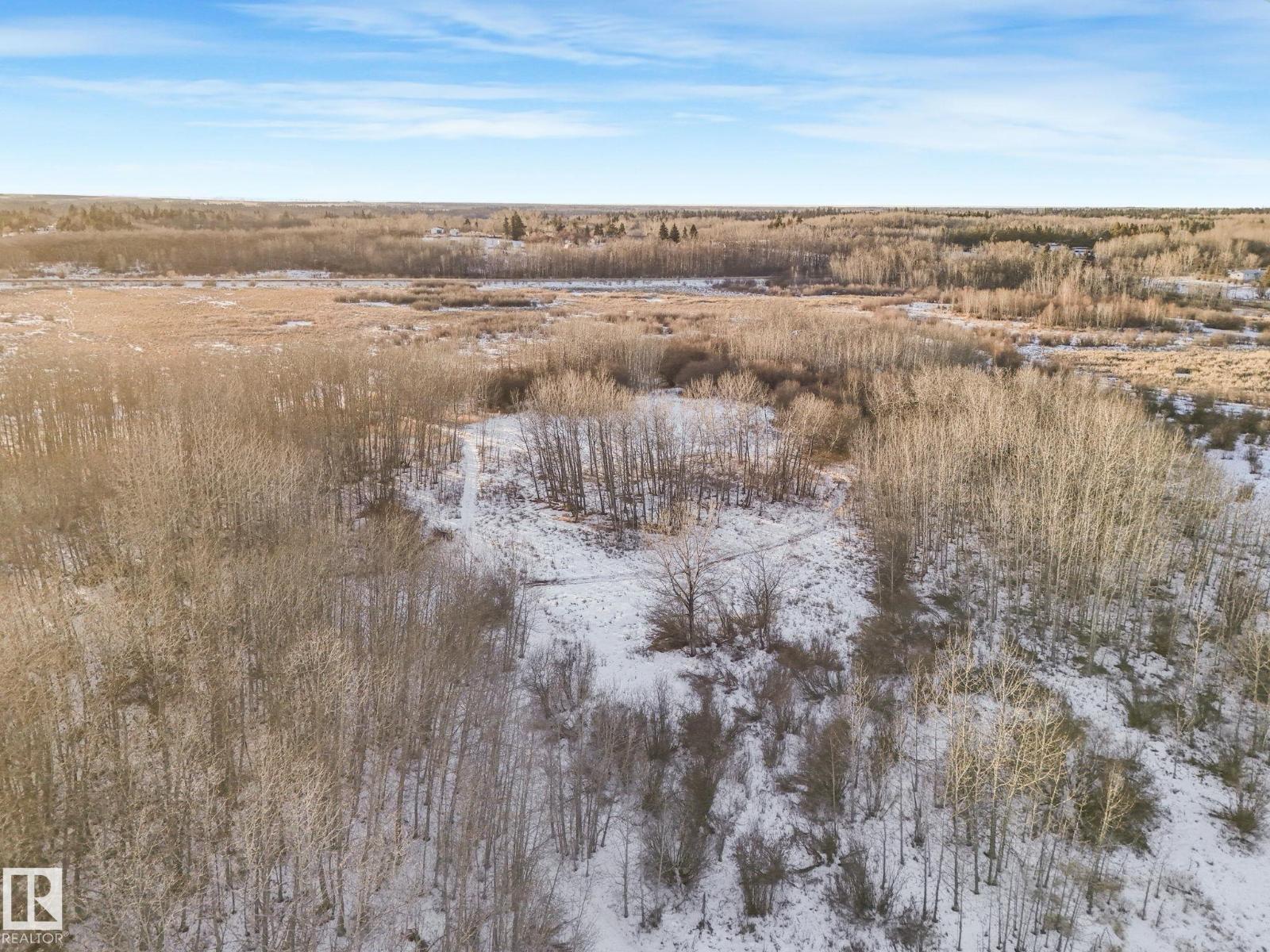 #42 473051 Rge Road 242, Rural Wetaskiwin County, Alberta  T0C 1Z0 - Photo 13 - E4478334