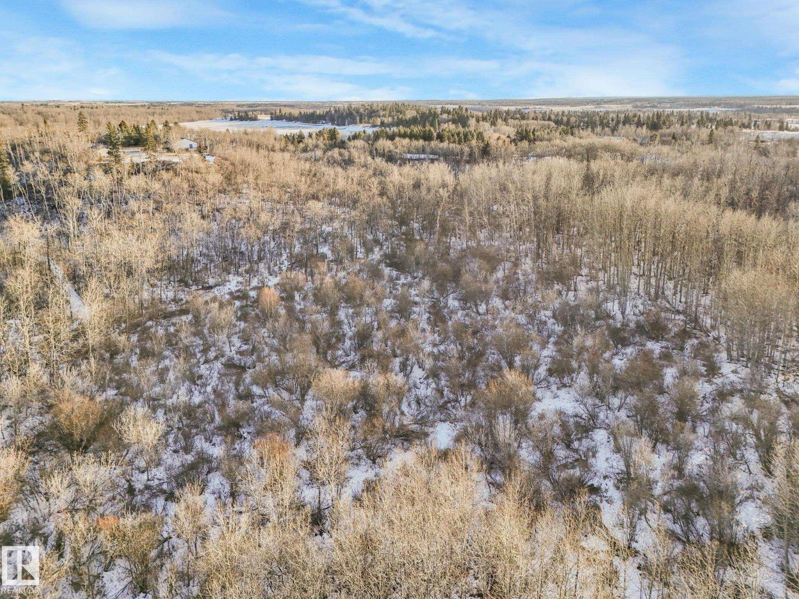 #42 473051 Rge Road 242, Rural Wetaskiwin County, Alberta  T0C 1Z0 - Photo 14 - E4478334