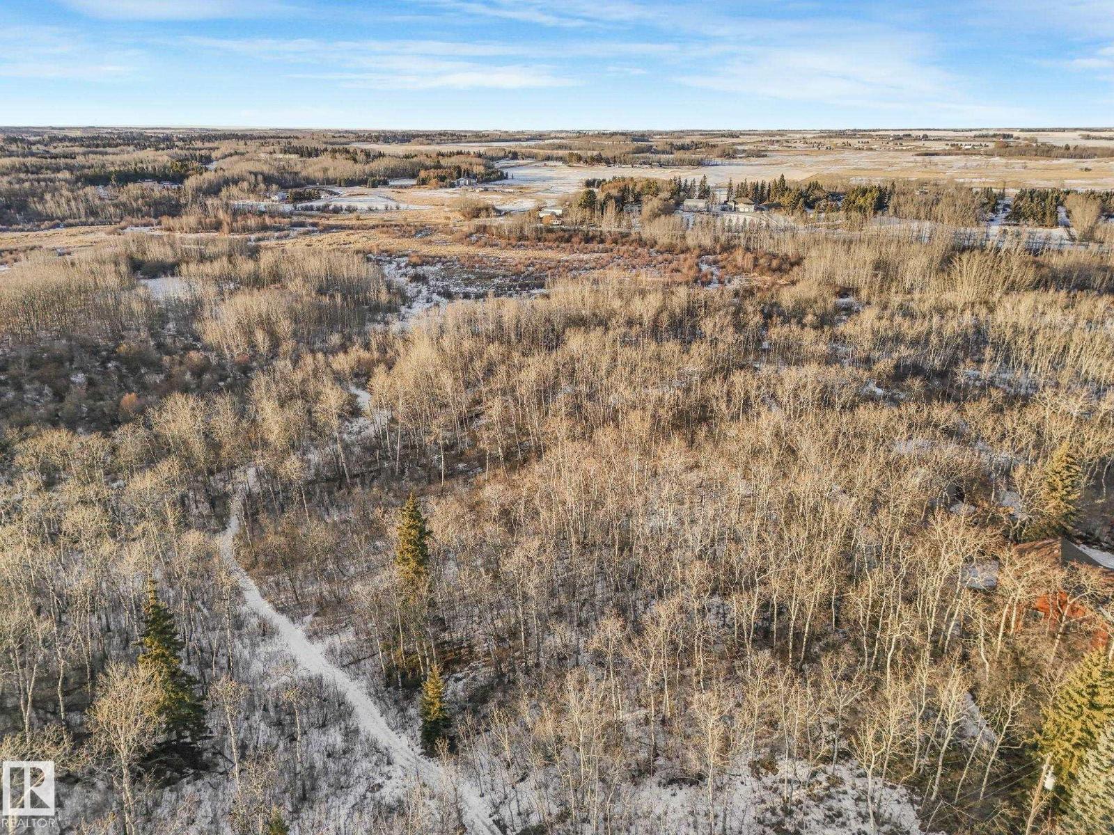 #42 473051 Rge Road 242, Rural Wetaskiwin County, Alberta  T0C 1Z0 - Photo 10 - E4478334