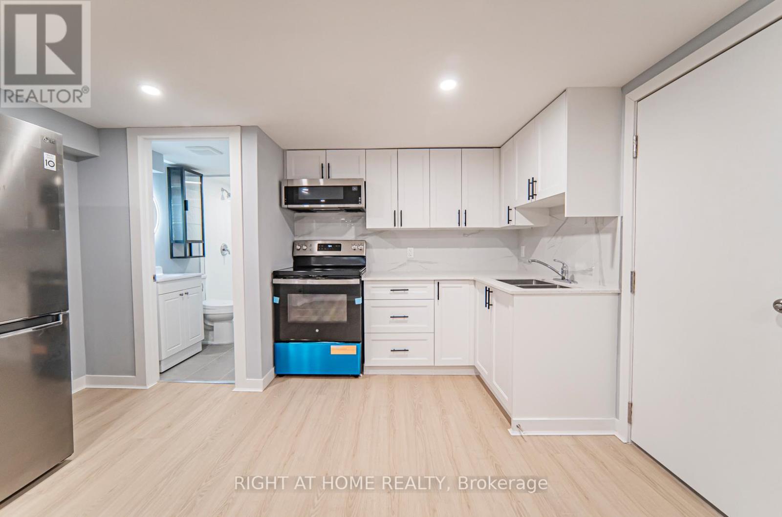 Basement - 250 Beechy Drive, Richmond Hill (Crosby), Ontario  L4C 2X7 - Photo 10 - N13082412