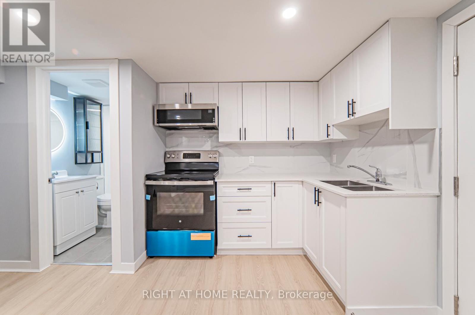Basement - 250 Beechy Drive, Richmond Hill (Crosby), Ontario  L4C 2X7 - Photo 11 - N13082412