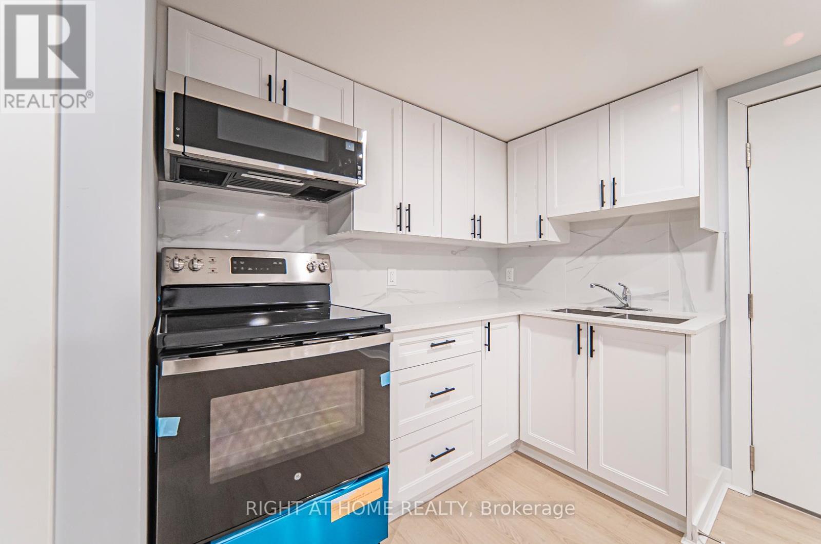 Basement - 250 Beechy Drive, Richmond Hill (Crosby), Ontario  L4C 2X7 - Photo 12 - N13082412