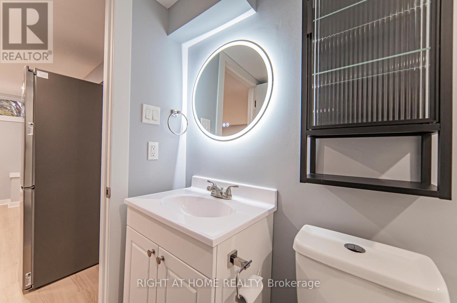 Basement - 250 Beechy Drive, Richmond Hill (Crosby), Ontario  L4C 2X7 - Photo 14 - N13082412