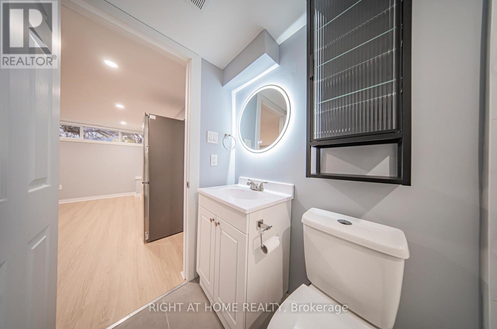Basement - 250 Beechy Drive, Richmond Hill (Crosby), Ontario  L4C 2X7 - Photo 15 - N13082412