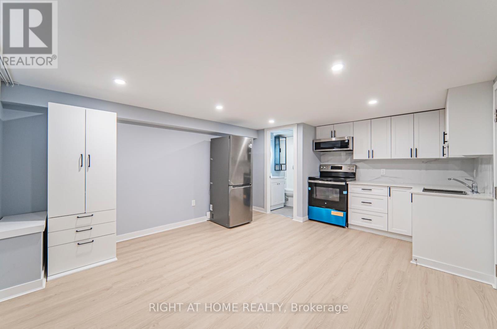 Basement - 250 Beechy Drive, Richmond Hill (Crosby), Ontario  L4C 2X7 - Photo 6 - N13082412