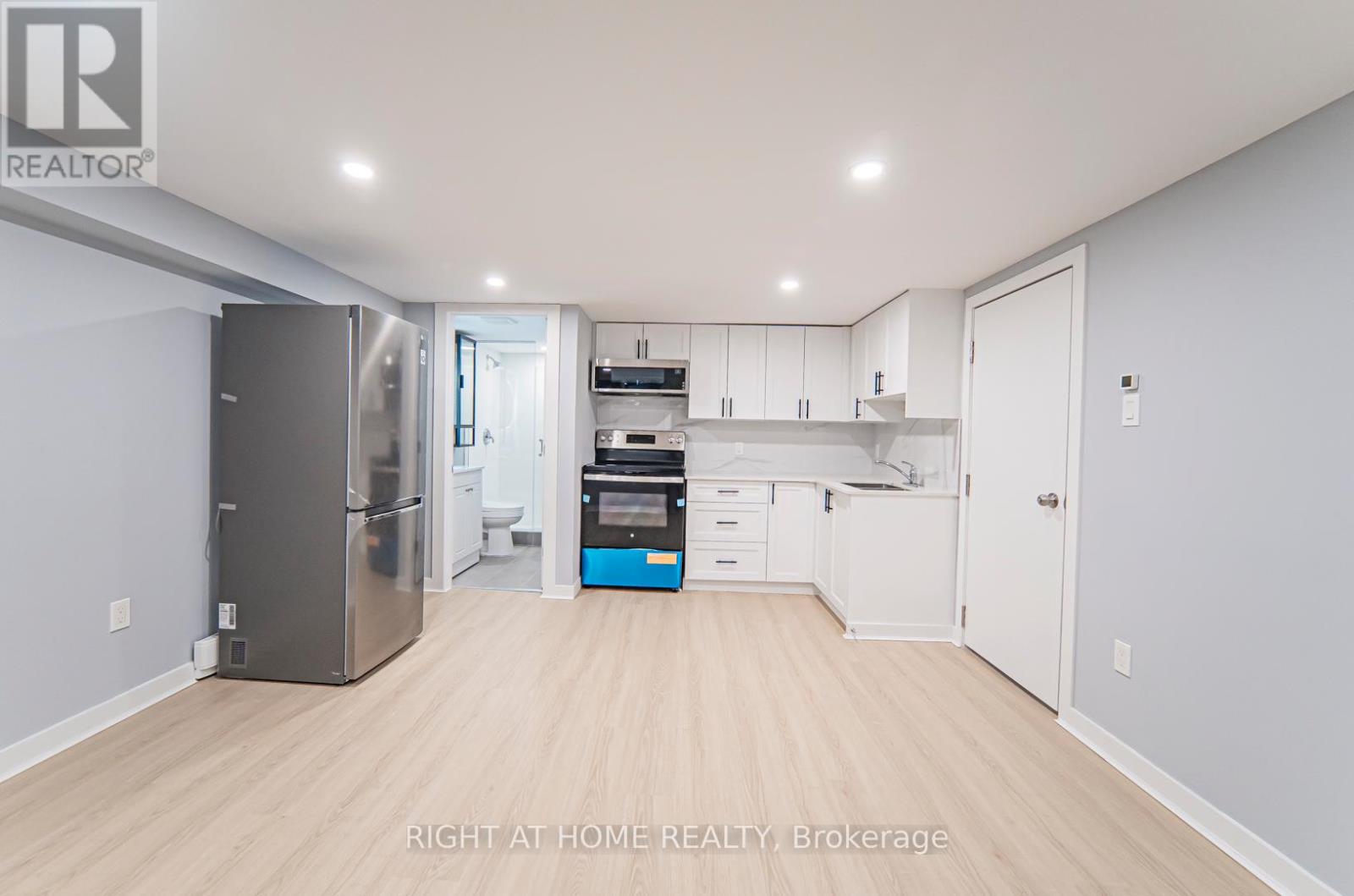 Basement - 250 Beechy Drive, Richmond Hill (Crosby), Ontario  L4C 2X7 - Photo 7 - N13082412