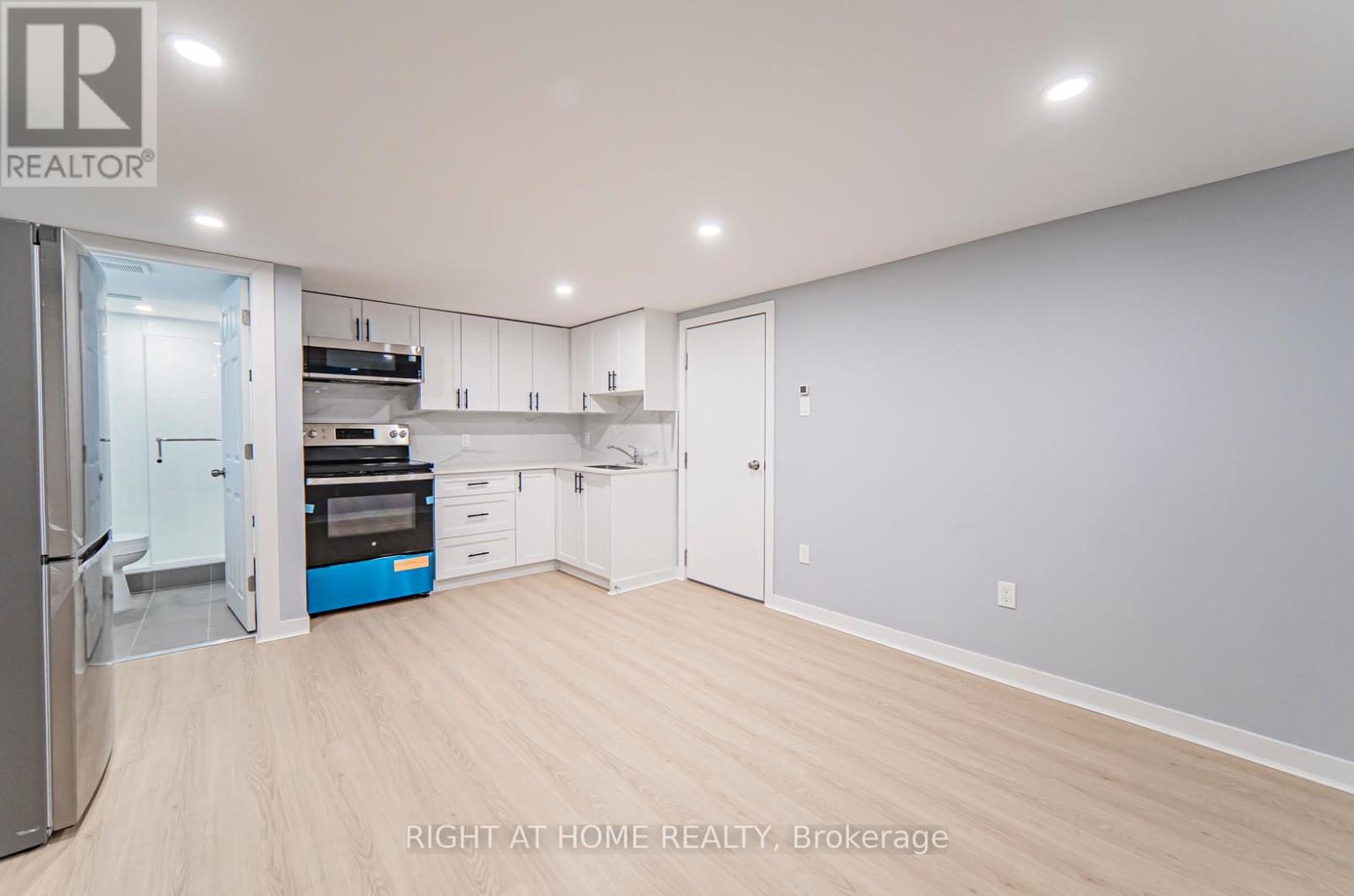 Basement - 250 Beechy Drive, Richmond Hill (Crosby), Ontario  L4C 2X7 - Photo 8 - N13082412