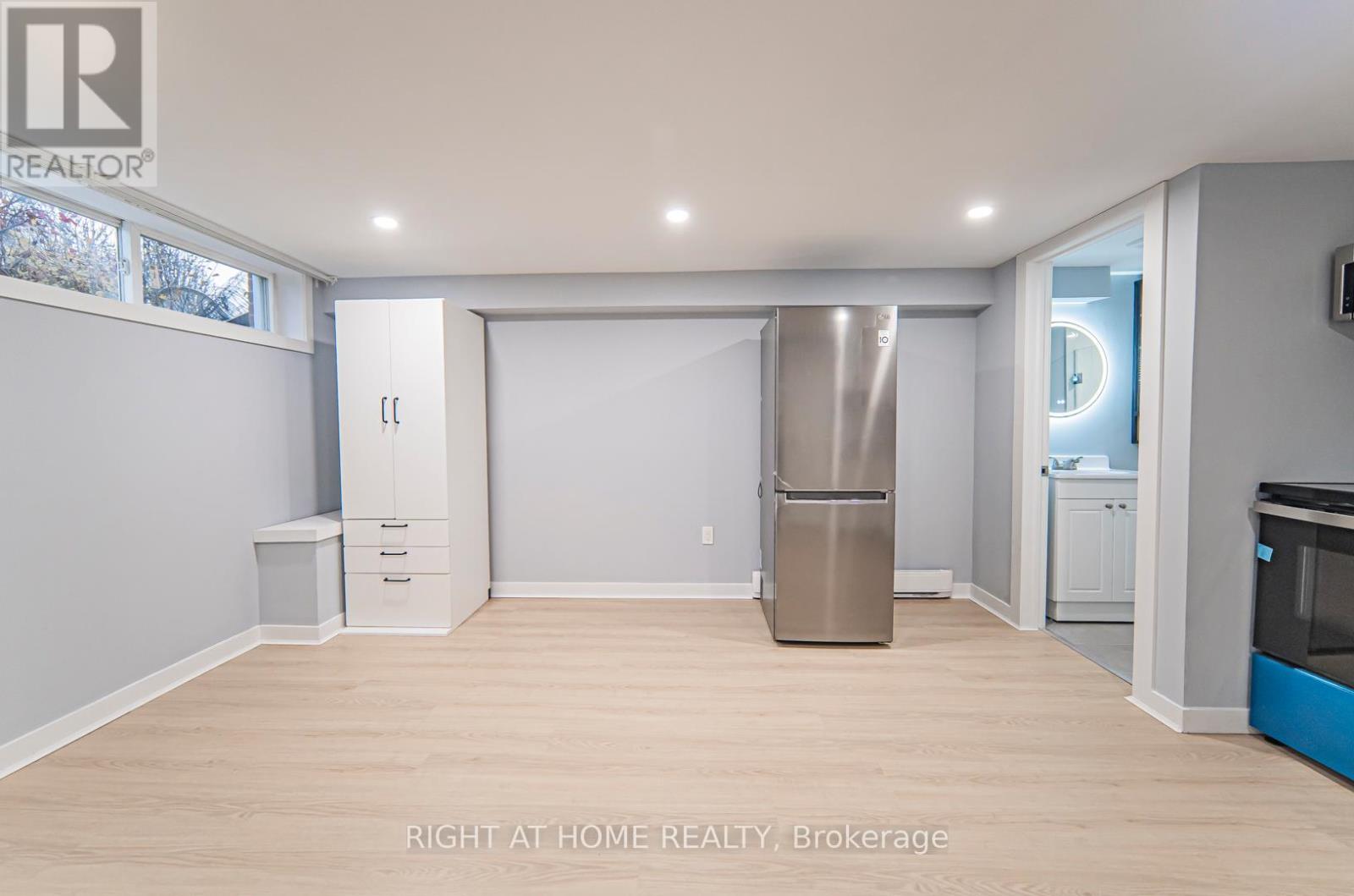 Basement - 250 Beechy Drive, Richmond Hill (Crosby), Ontario  L4C 2X7 - Photo 9 - N13082412