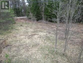 3025 Gelert Road, Minden Hills, Ontario  K0M 2K0 - Photo 6 - X13079894