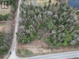 3025 Gelert Road, Minden Hills, Ontario  K0M 2K0 - Photo 3 - X13079894