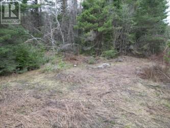 3025 Gelert Road, Minden Hills, Ontario  K0M 2K0 - Photo 5 - X13079894