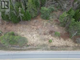 3025 Gelert Road, Minden Hills, Ontario  K0M 2K0 - Photo 7 - X13079894