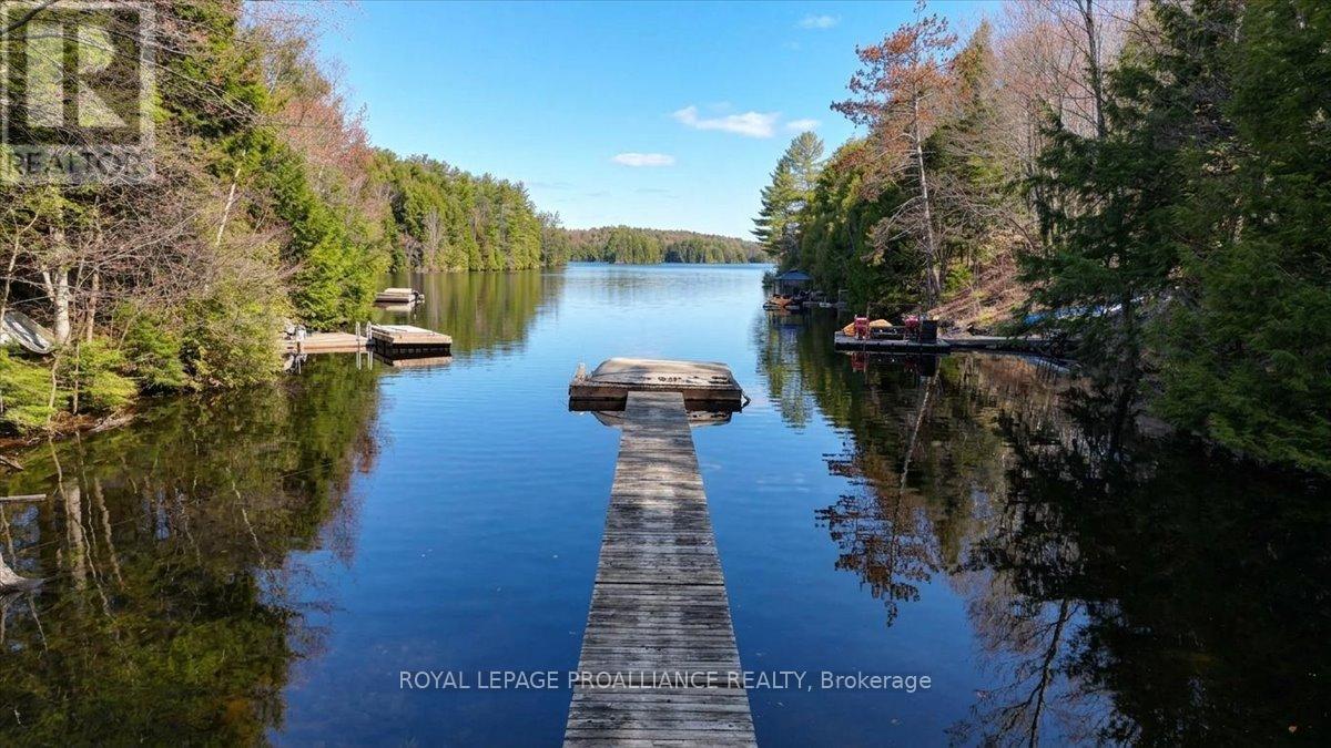 1407 Spooks Bay Lane, Highlands East (Cardiff Ward), Ontario  K0L 1A0 - Photo 43 - X13082710