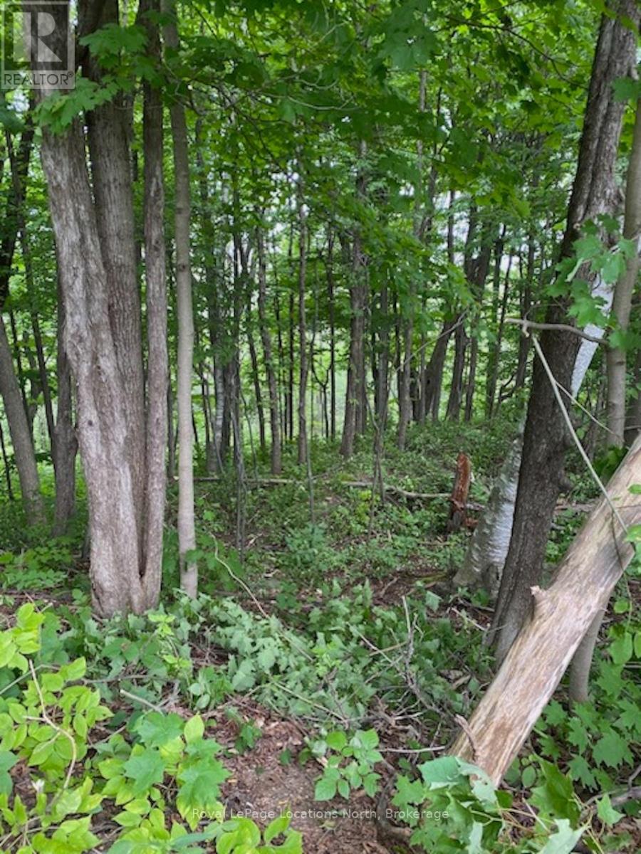 Ptlt 40 12 Concession, Blue Mountains, Ontario  N0H 2P0 - Photo 6 - X13082620