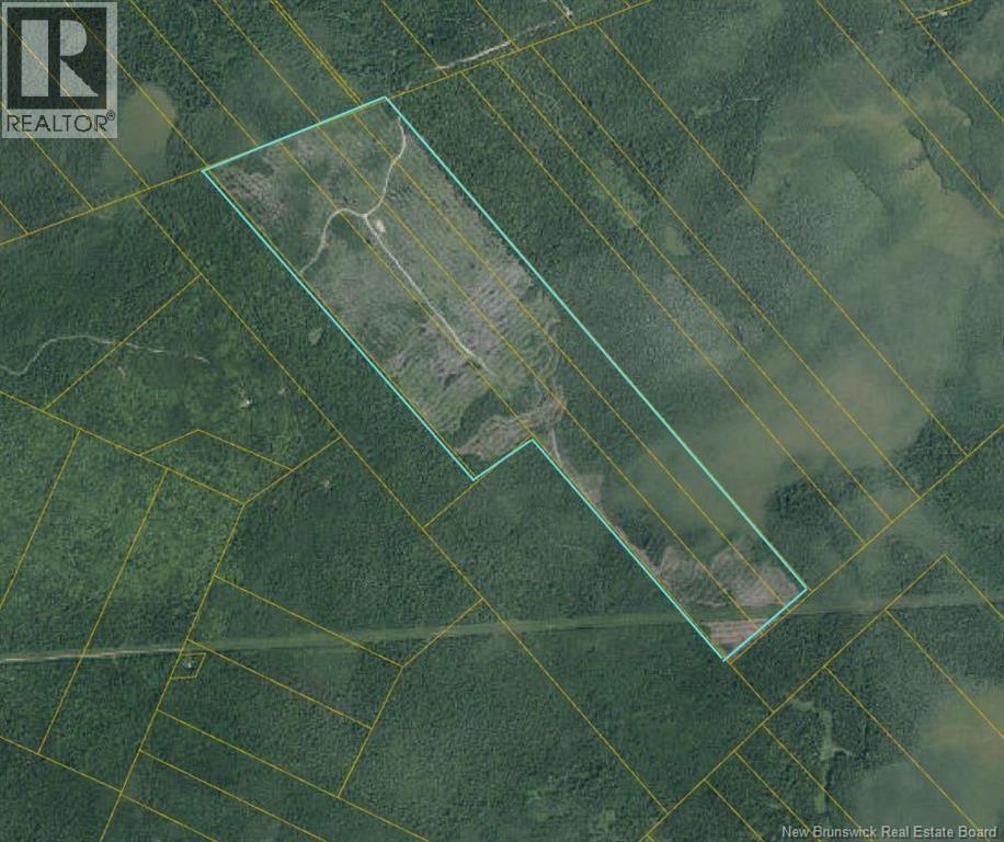 South Napan - 4 Interior Woodlot Parcels, napan, New Brunswick
