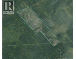 South Napan - 4 Interior Woodlot Parcels, napan, New Brunswick