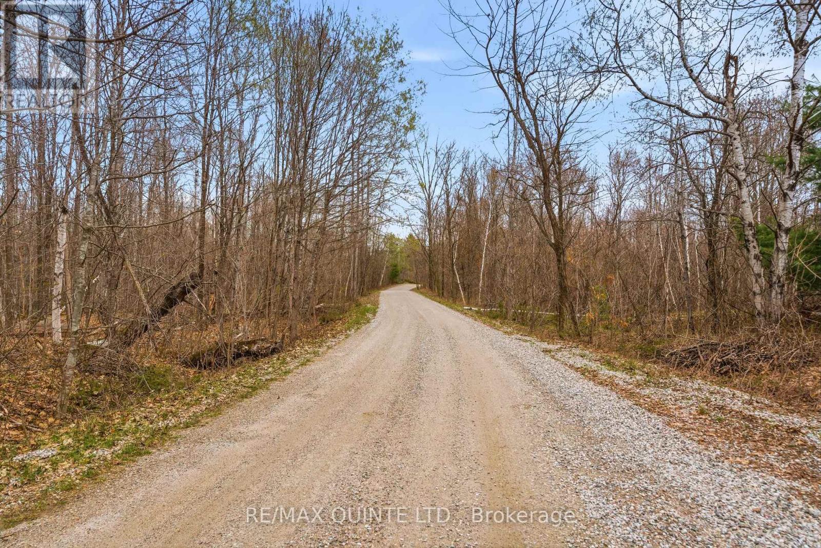 87 Gull Creek Lane, Stone Mills, Ontario  K0H 1B0 - Photo 12 - X13079600