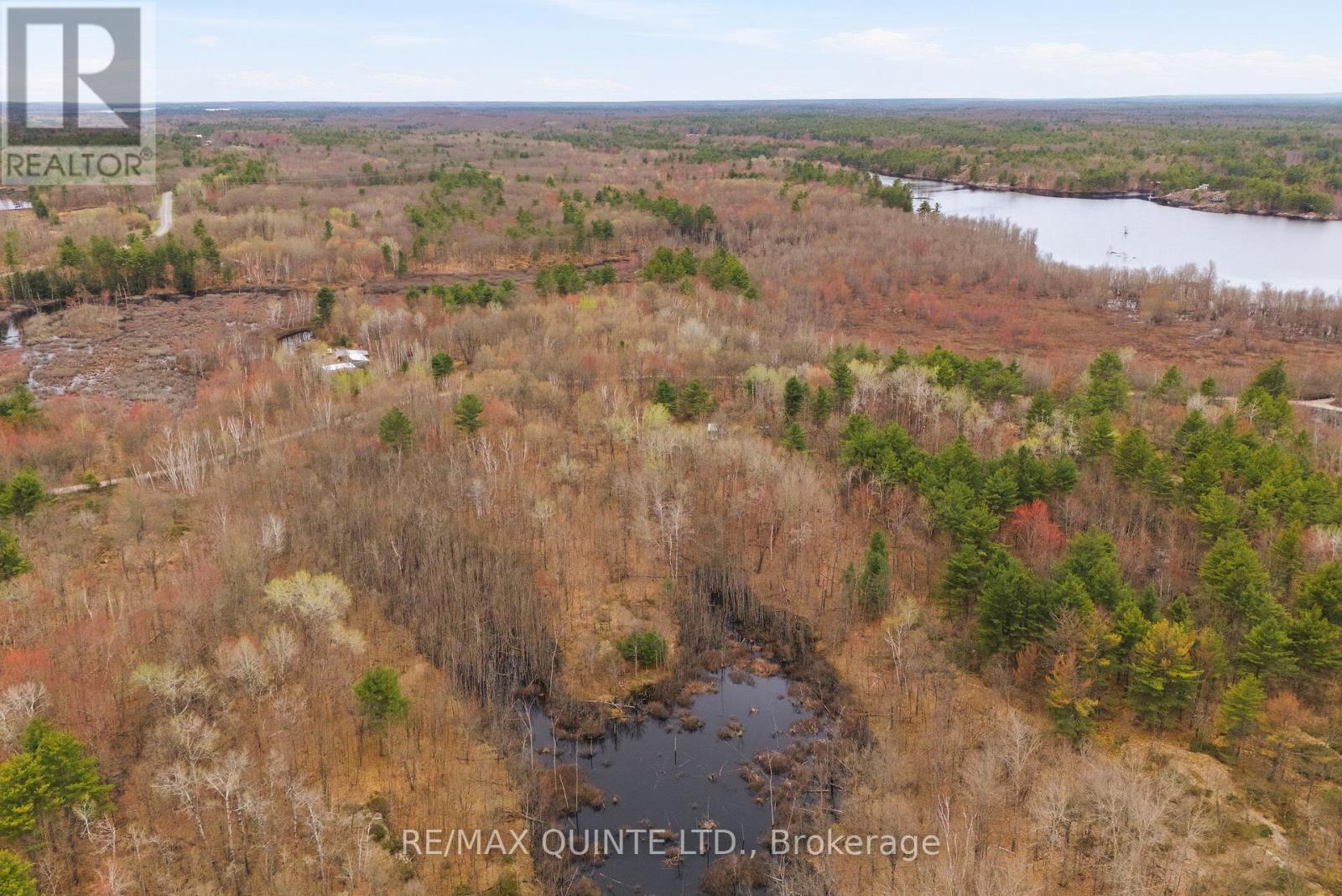 87 Gull Creek Lane, Stone Mills, Ontario  K0H 1B0 - Photo 22 - X13079600