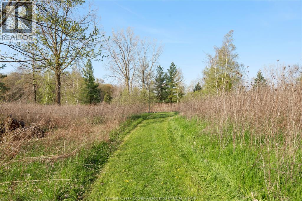 5689 Third Line, Chatham-Kent, Ontario  N7M 5T1 - Photo 16 - 26009128