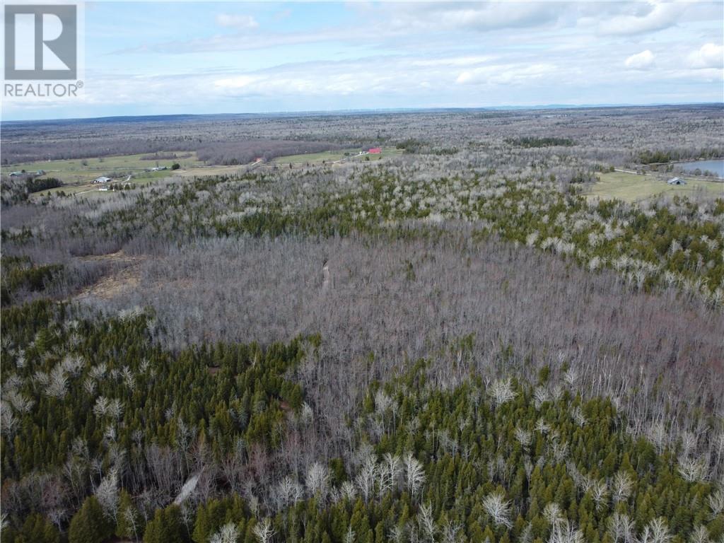 2099 Bidwell Road, Manitowaning, Ontario  P0P 1N0 - Photo 10 - 2127433