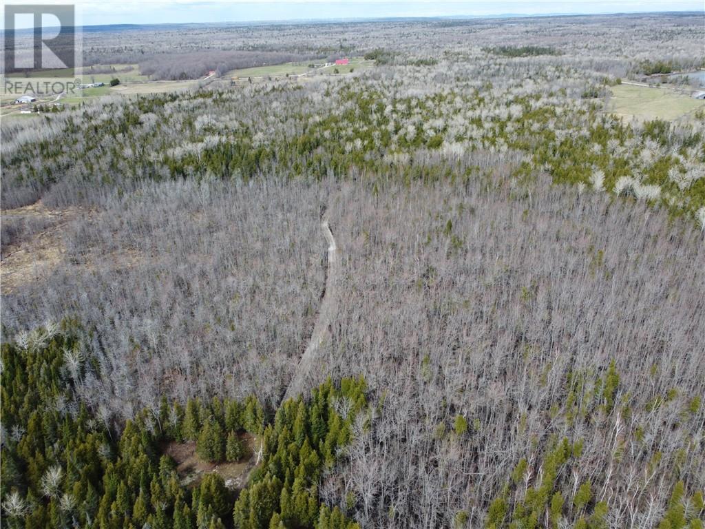 2099 Bidwell Road, Manitowaning, Ontario  P0P 1N0 - Photo 15 - 2127433