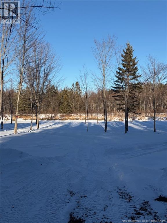 00-2 Reardon Road, Elmsville, New Brunswick  E5A 0B5 - Photo 14 - NB133269