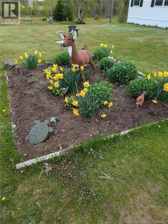 142 Middlesex, Colpitts Settlement, New Brunswick  E4J 1H3 - Photo 26 - NB133840