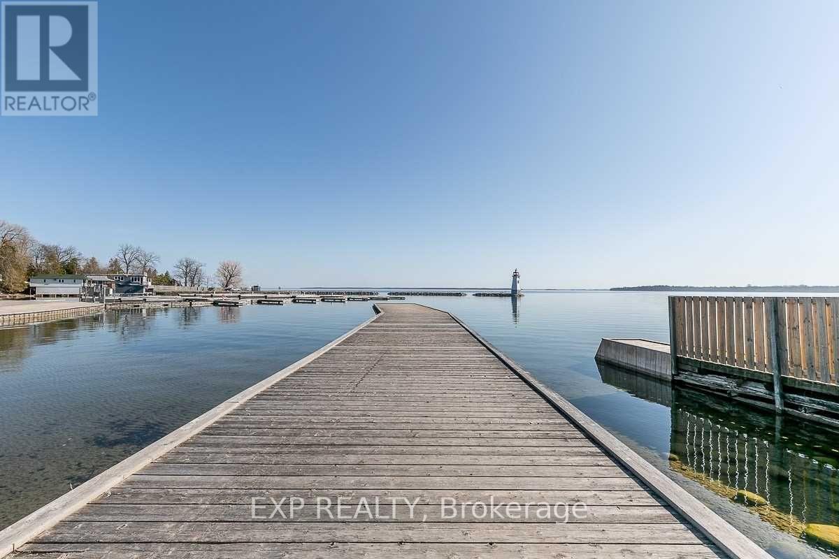 16 Lorne Street, Georgina (Sutton & Jackson's Point), Ontario  L0E 1L0 - Photo 47 - N13082760