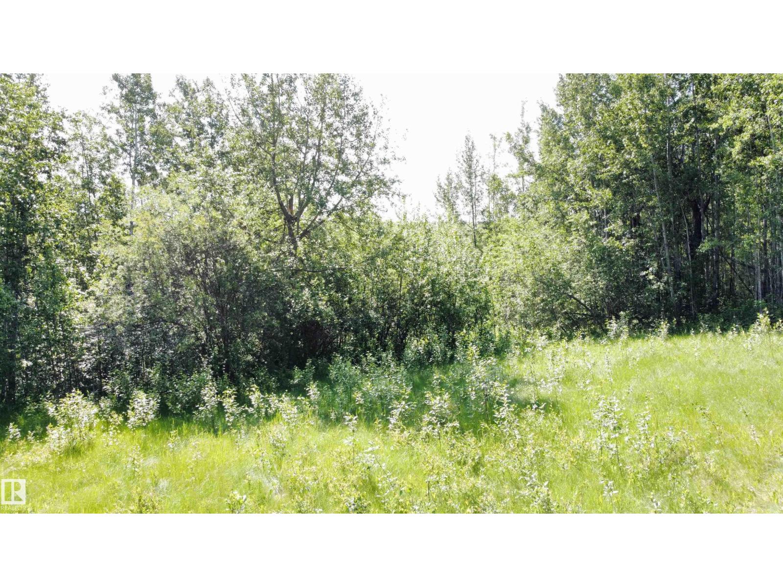 Range Rd 163 Twp Rd 652, Rural Lac La Biche County, Alberta  T0A 0R0 - Photo 12 - E4485734