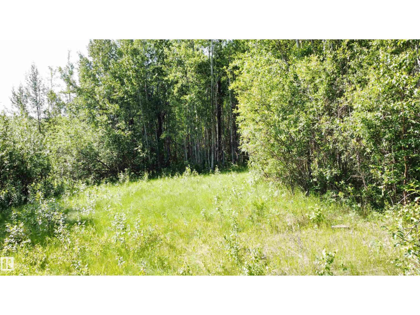 Range Rd 163 Twp Rd 652, Rural Lac La Biche County, Alberta  T0A 0R0 - Photo 13 - E4485734