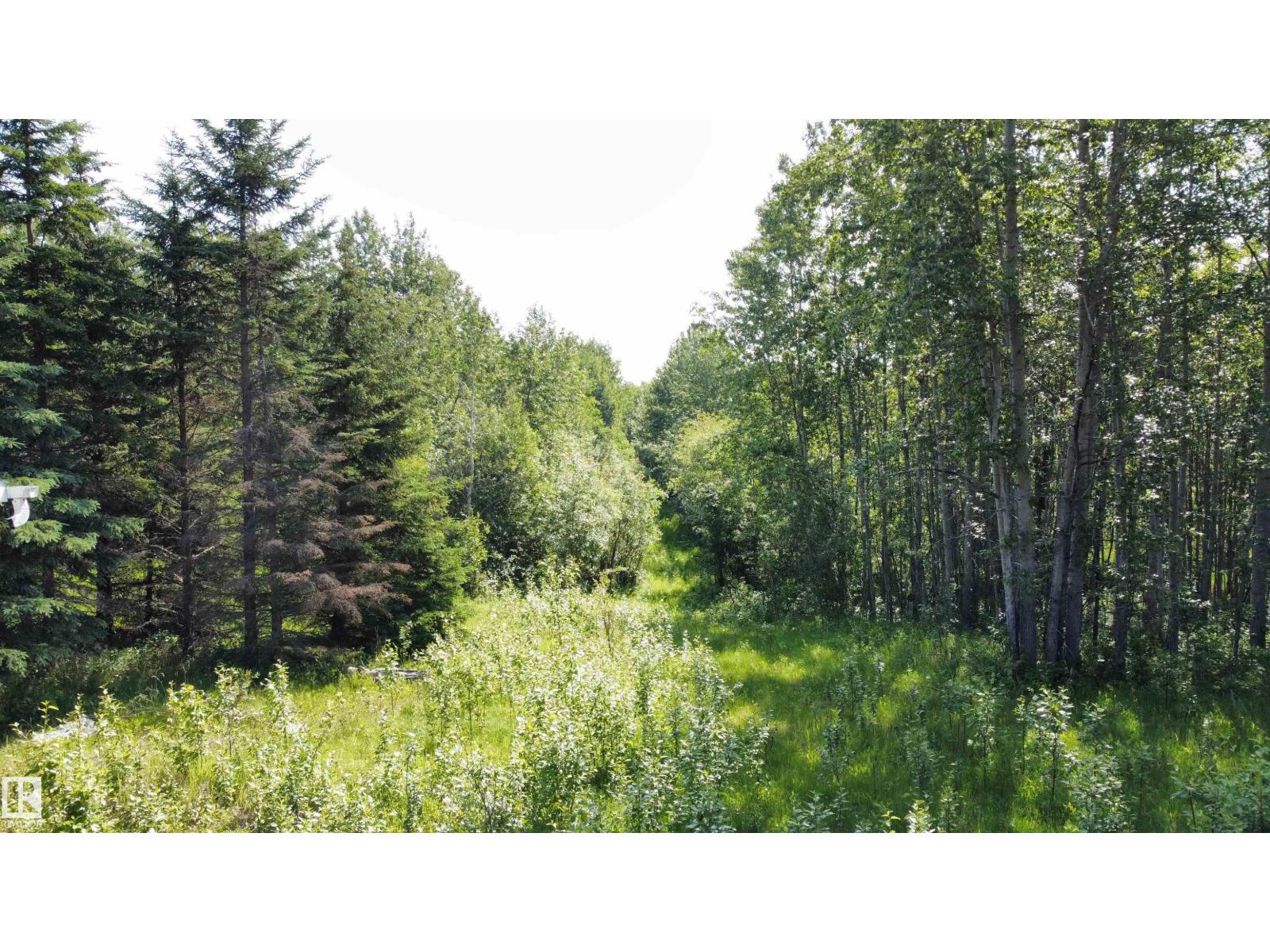 Range Rd 163 Twp Rd 652, Rural Lac La Biche County, Alberta  T0A 0R0 - Photo 6 - E4485734