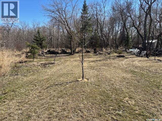 246 Maples Road, Katepwa Beach, Saskatchewan  S0G 2K0 - Photo 44 - SK034754