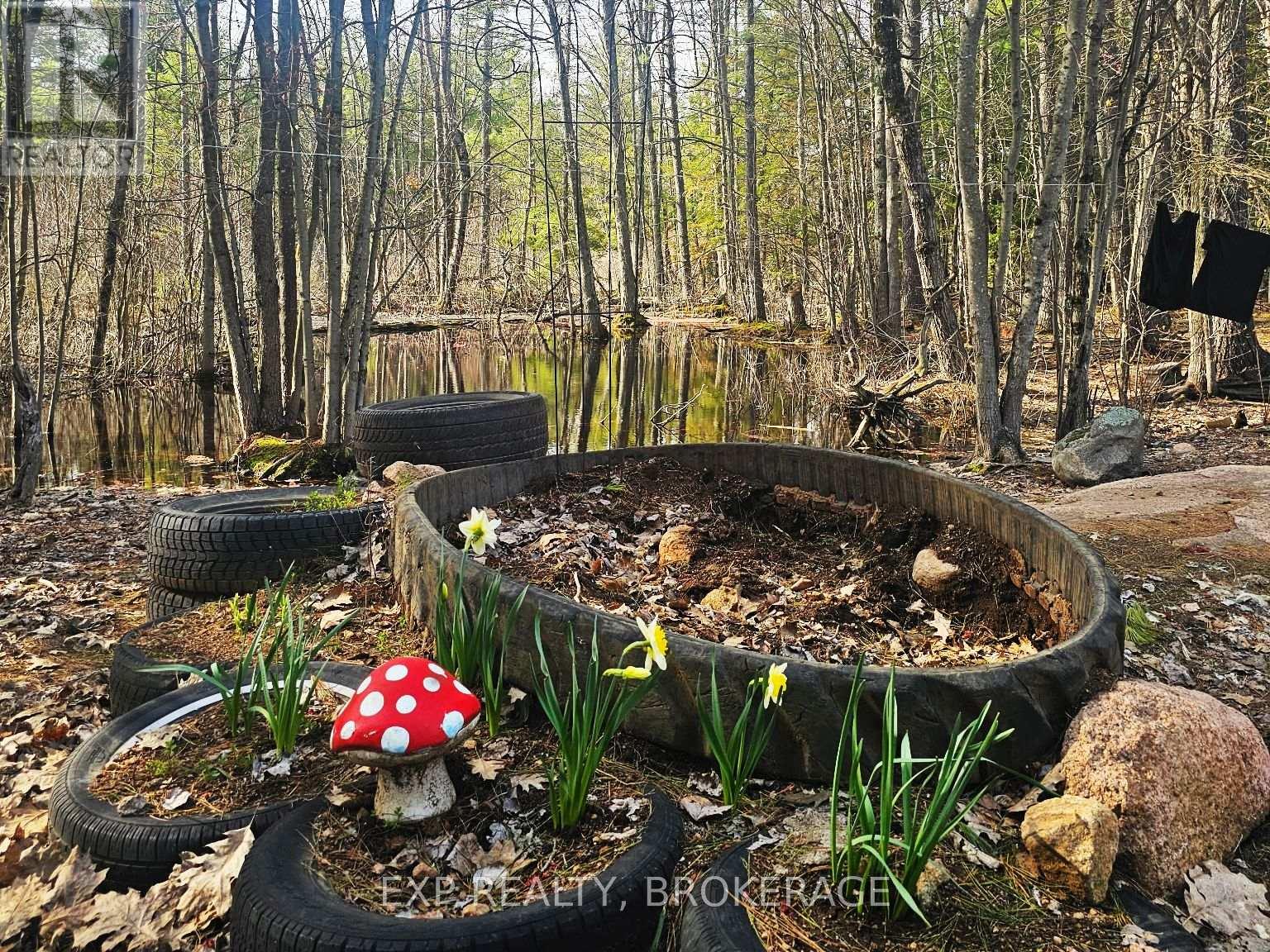 Part Lot 3 Mclean Road, Frontenac, Ontario  K0H 2K0 - Photo 42 - X12894252