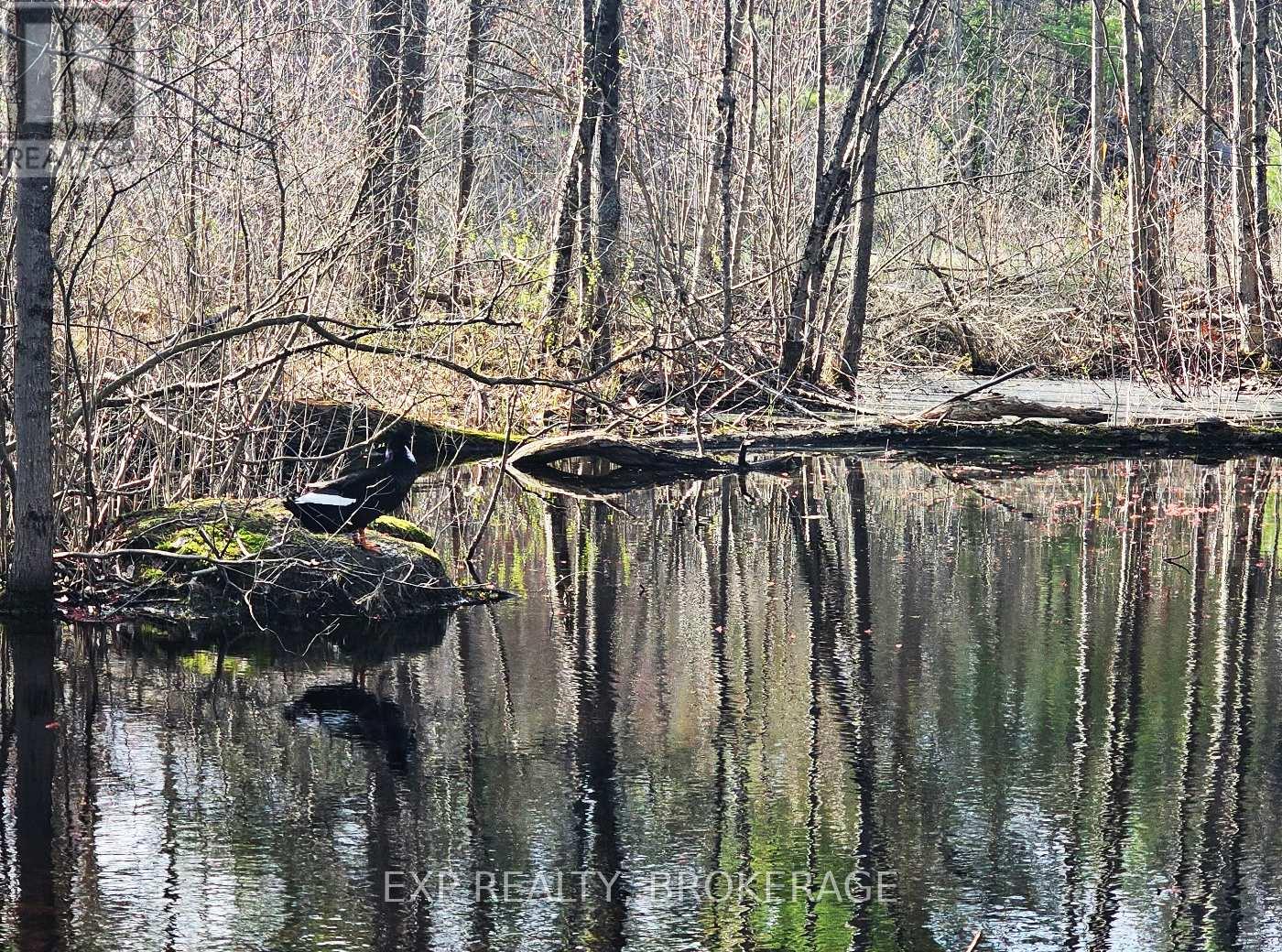 Part Lot 3 Mclean Road, Frontenac, Ontario  K0H 2K0 - Photo 43 - X12894252