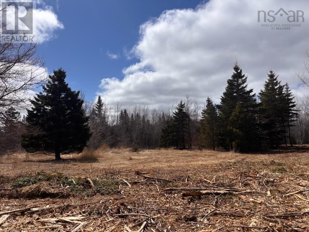 Lot Kl-3 Walker Street, Lake Echo, Nova Scotia  B2Z 1M9 - Photo 3 - 202603773