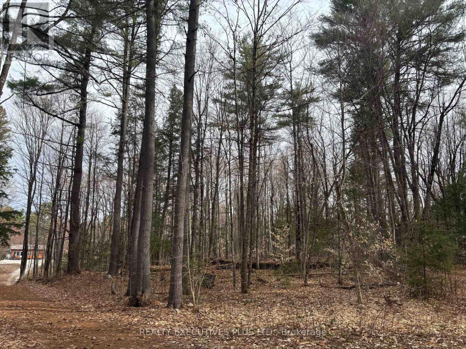 00 Dalhousie 4th Conc B Road, Lanark Highlands, Ontario  K0G 1K0 - Photo 10 - X13083504
